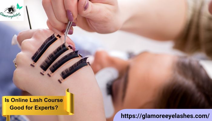 Is Online Lash Course Good for Experts