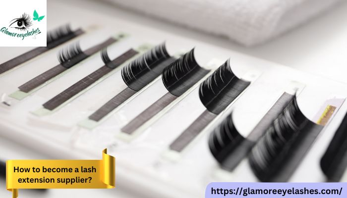 How to Become a Lash Extension Supplier